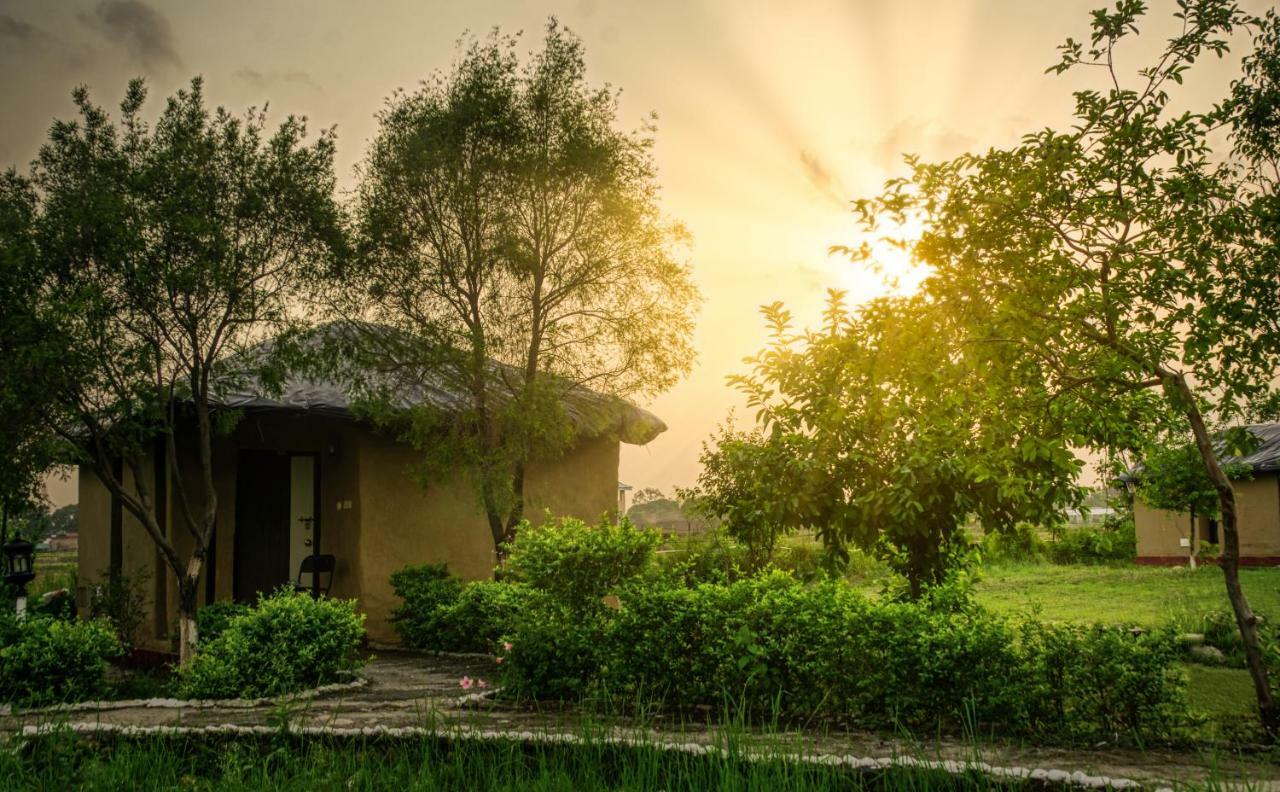 Tusk And Roar Corbett Resort Dhela المظهر الخارجي الصورة